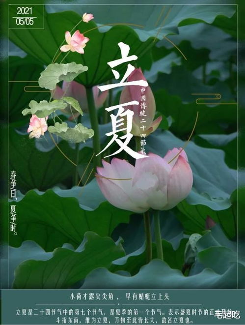 仪式性活动及社会层面实践