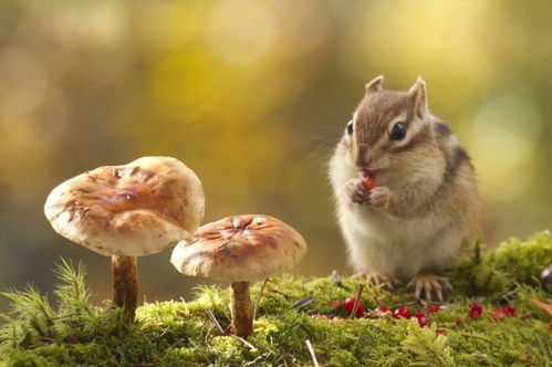 低调？在高调的时代？