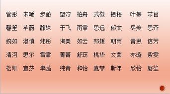 2）融合数字或外语元素