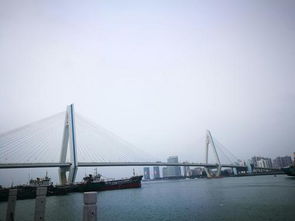 ‘船到桥头自会直’和‘桥头桥尾’分别指代哪个生肖？