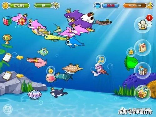 1.1 单数为阳：象征活力与生长的文化意涵