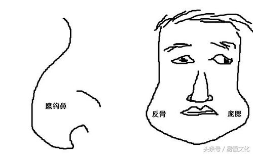 三、  实证观察：典型案例的深度剖析