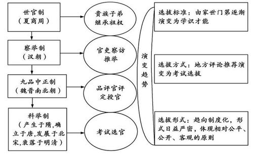 1. 案例诊断流程的结构化呈现