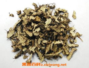 阿魏和太岁，这两种药材真的具有药用价值吗？