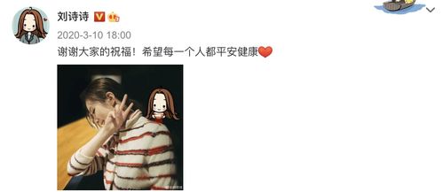 二、  生肖命理视角下的魅力根源：天时地利人和