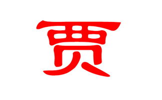 为什么名字这么重要