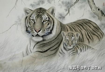 四、 生肖虎之财神眷顾细节