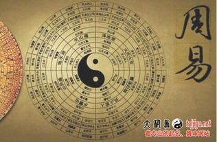 三、实例分析：朱洁命案