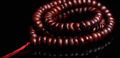 菩提一树的含义是什么它蕴含了哪些深刻的寓意和哲理？