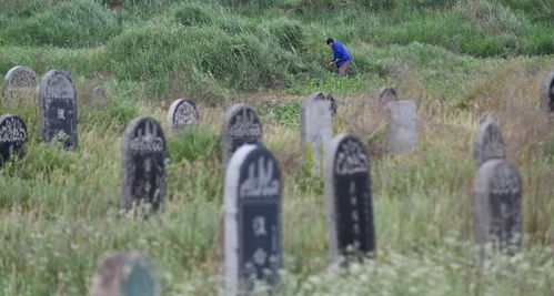 2026年五月份有哪些上坟吉日，1月份新坟开墓吉日是哪天呢？