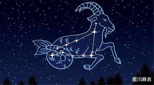 属羊摩羯座2026年八月运势和属羊射手座2026年全年运势分别是什么？