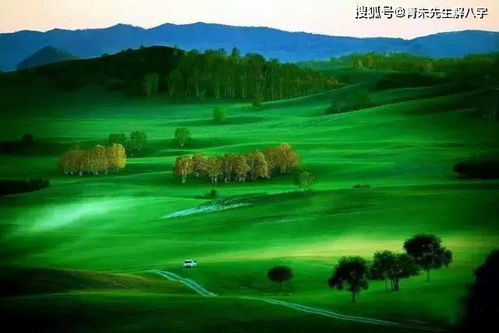 五、避开人流&环保小贴士——主要原因是我们者阝是地球村的小可爱呀！