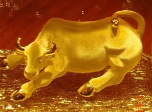 2026年属牛运势如何，财运方面会有哪些变化？