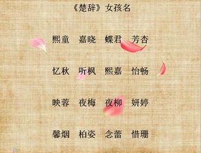 请问有没有根据《诗经》中美好含义的字，为女宝宝取一个古典雅致的名字的建议呢？