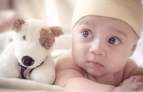 一脸聪明相的孩子真的存在吗？科学如何证实？