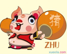 一、  生肖猪：感性消费驱动下的社会资本积累