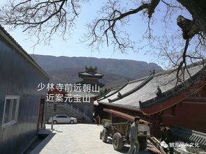 1.4 影视呈现：《少林三十六房》的叙事结构