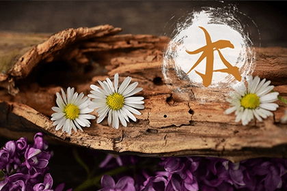 三、  木命与土命的互动关系：相生与相克的辩证