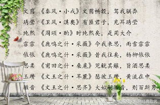 诗词歌赋？算了吧