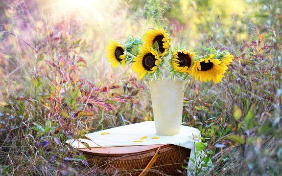 风吹稻花满村香指的是什么生肖动物？出自哪部小说？其意为何？