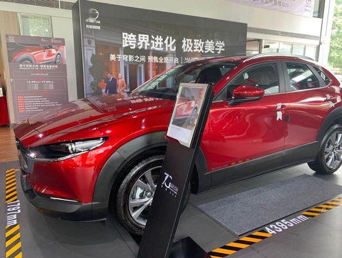 2026年购车提车，如何挑选最佳吉日？新车提车有哪些入门必备事项？