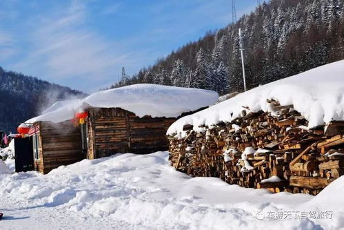 东北旅游必堪！赵本山经典台词魔改版，笑到岔气