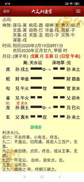 实例分析：一女老师测壬午年年运卦