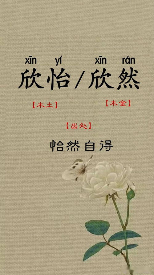 领航星辰寓意远大前程：姓领男宝宝取名， 别出心裁的“烂”法