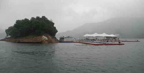 门票套路深似海！数学不好别来！