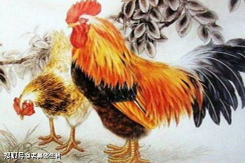 补充几句（想到什么说什么）：