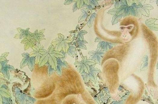 将竹头木屑是什么生肖？