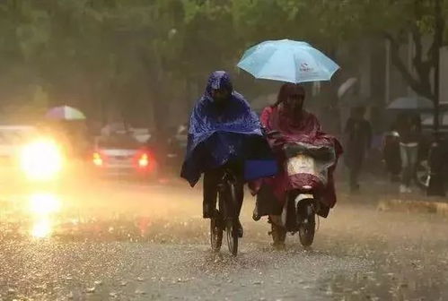 四、  暴雨夜的环境场域与行进受阻的命理阐释