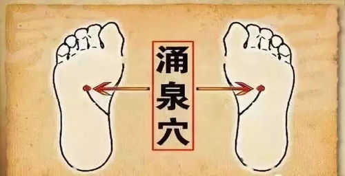 七、齿列如盖：肾精充足的表现