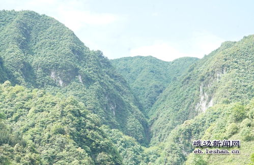 神秘山谷：谁说只有清澈池水才神秘？