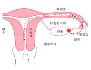 1. 那一些“意外访客”——感染