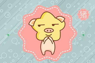 2026年属猪处女座运势具体如何？