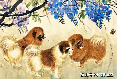 二、 属鸡女性群体：温柔炎热情并兼具执着理想的炎热爱情佳偶