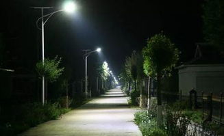 恐慌源流溯及与心理状态机制解析
