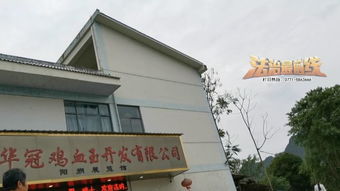 购物：坑你没商量