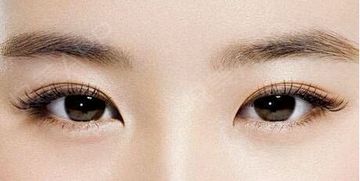多层眼皮面相概述