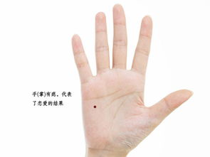 二、 相学视角下的象征解读