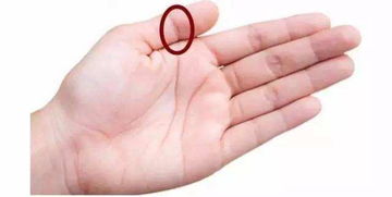 看手相时说吉祥话需要给手相开光吗？