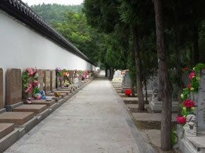 三、 四象布局：左青龙右白虎前朱雀后玄武之方位调和