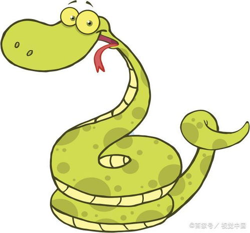 2026年属蛇的人何时能遇到命中注定的姻缘？