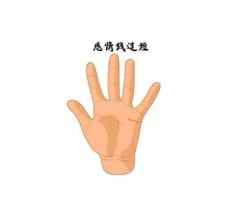 女人手相中双感情线代表什么？