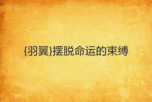 3. 婚姻情感系统的结构性失衡