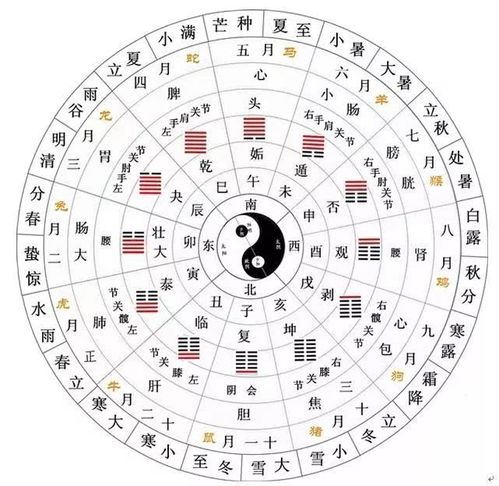 2.1 顺应自然——从宏观到微观的层层递进