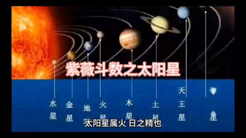 三、 太阳星坐守之女：博爱光辉下的桃花泛滥