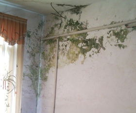 梦见自家的房子漏雨是什么不祥之兆？