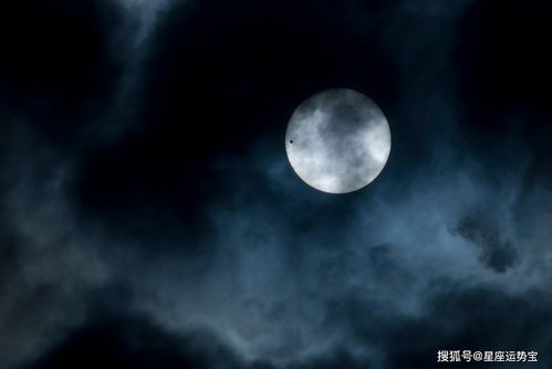 双子座：浪浪浪